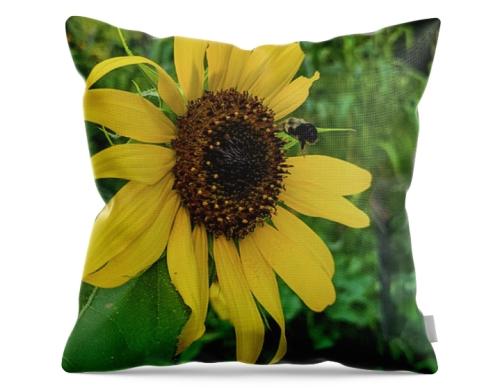 Screenshot_20260314_153437_Brave