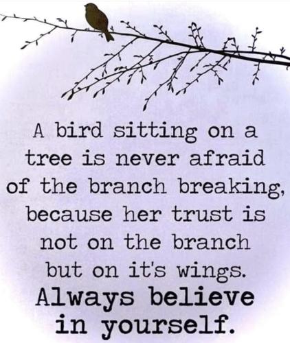 637881668_1431926855390313_355251401998009443_n