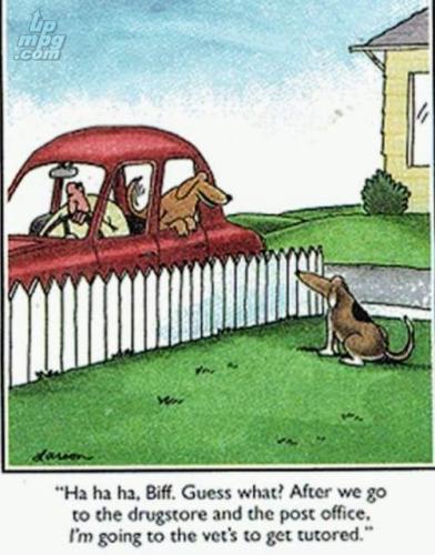 main-qimg-19854df3eda01d5948a3bbefd335e21c