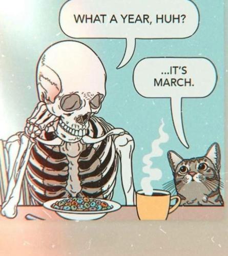 FB_IMG_1774788794893