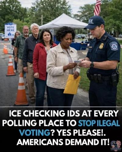 TESTHUB_photos_users_KPBY8Tc46ldqLjWXf6bqxqOW3AR2_-Op1t4SVo8op2M6NEbK5_img_rsz__1100x1100