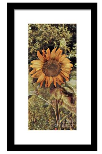 Screenshot_20260319_111950_Brave