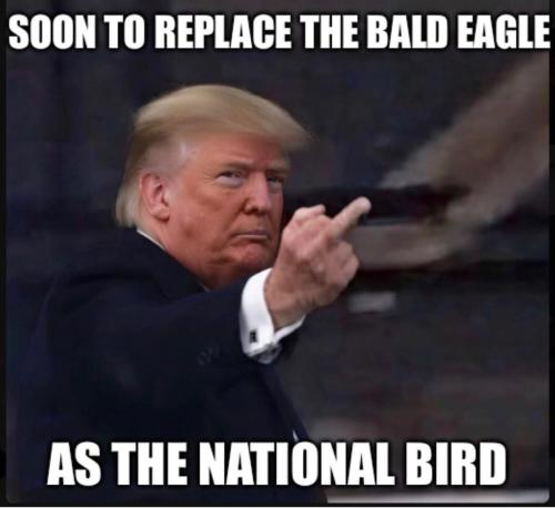 FB_IMG_1768406527035