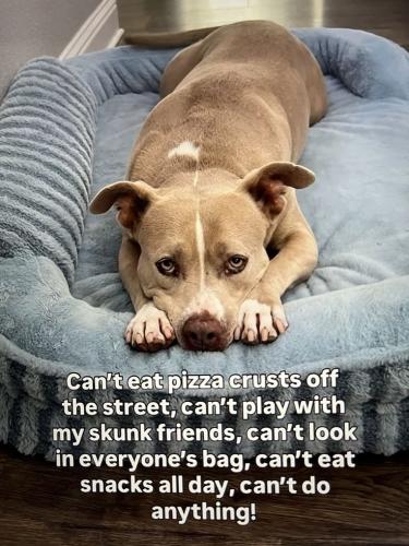 4176e4bf5b36591ec9466e46520a8a57