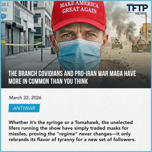 224424444444211111111111111111111122444444