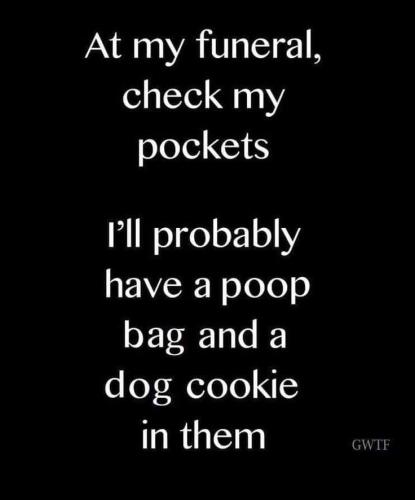 acc09678ff28933141fc3d891541e94a