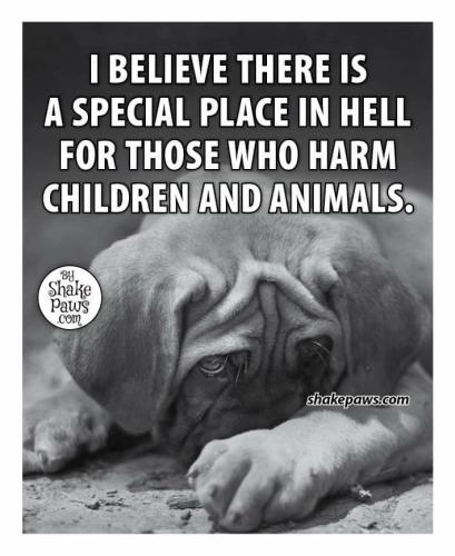 34b4f6125439b0c4d906e2be0bdb14f8