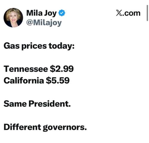 image_7B98714C-7AE7-4FDD-B738-76990D3F1BDD