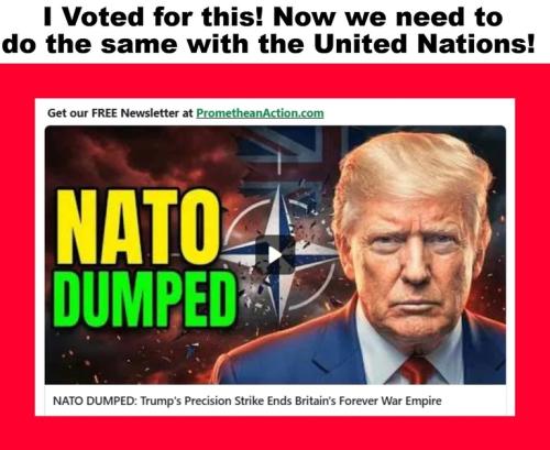 NATO dumped screenshot.768px