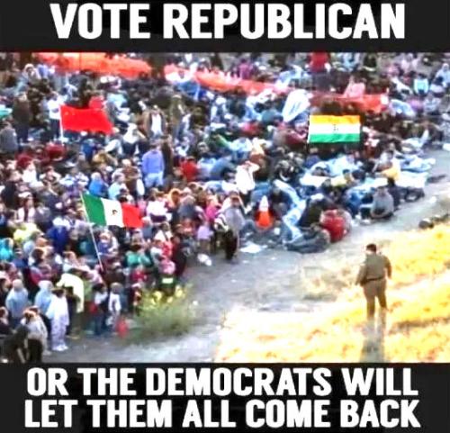 illegal immigration533