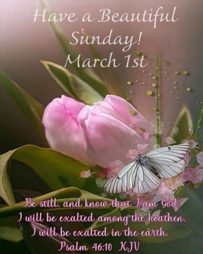 642236115_1511725354326792_1249083425452567475_n