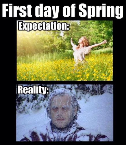 273ebbffd2b326acea46272912bdcfb6