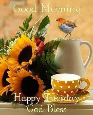 Screenshot 2026-03-31 073425