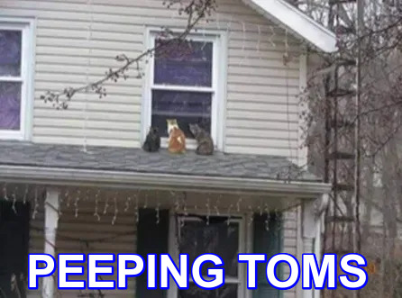peeping-toms