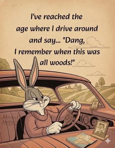 17719316119713298612530362204756_1131952597805794