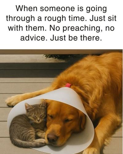 9198a20f889d6d14f17b5cddb299f853