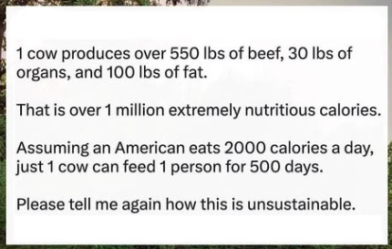 How Cow Are Sustainable