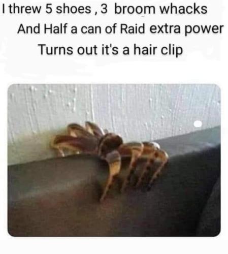 Screenshot_20260313_212848_Gallery