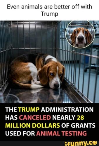 0e4a4b41a8d4c2f42d8b48cad7533b98fdd02c6d2a25a0d95ce352d7c2275ecd_1