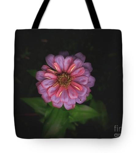 Screenshot_20260313_180944_Brave