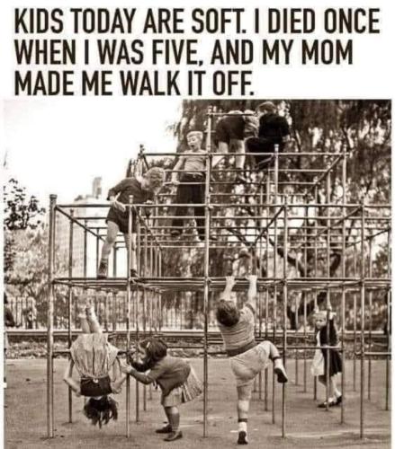 Screenshot_20260326_065337_Gallery