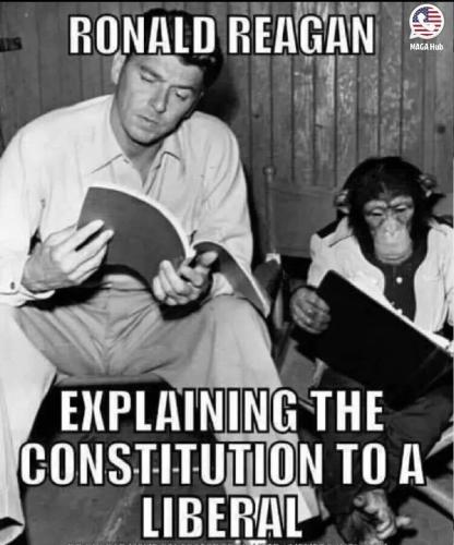 TESTHUB_photos_users_KPBY8Tc46ldqLjWXf6bqxqOW3AR2_-OmmIUibowhFX8Wsglwm_img_rsz__1100x1100