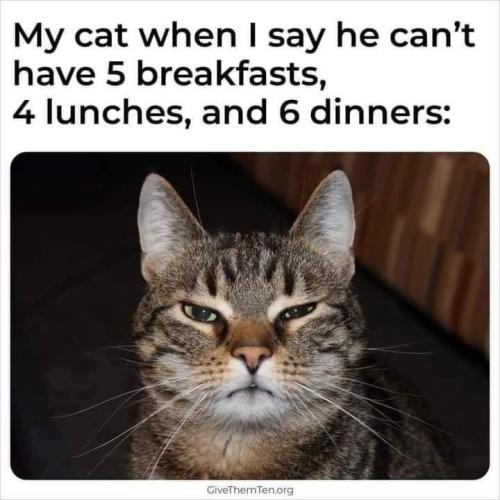 e7b2b94e0135568ef9e9f8e19e3a114d