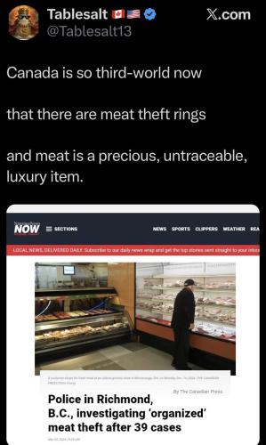 IMG_20260323_030252_623