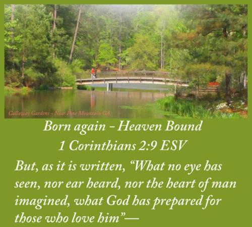 FB_IMG_1602677491457