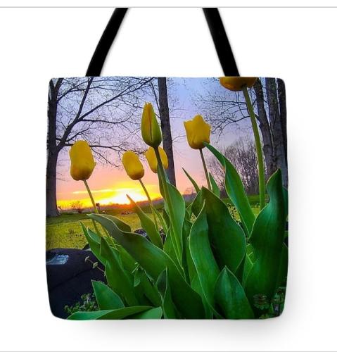 Screenshot_20260307_184416_Brave