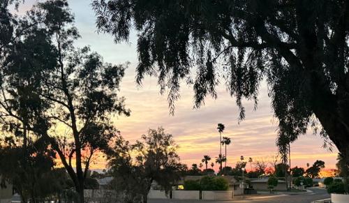 D95040D7-E3DD-4E1C-A83B-4877FB573E04