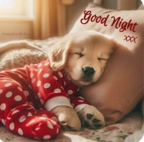 43aff92b14cdf659838656d19390cccf