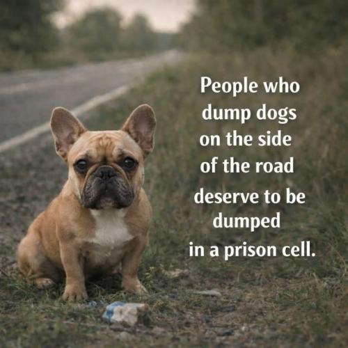 48a1dd9ffdf15ce873989bc23dd9b450