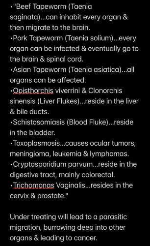 FB_IMG_1774737798905