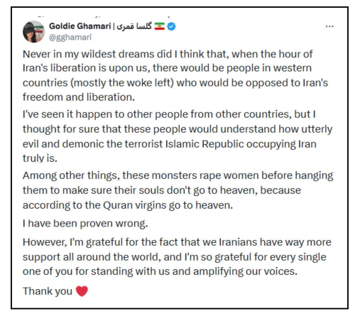 never in my wildest dreams