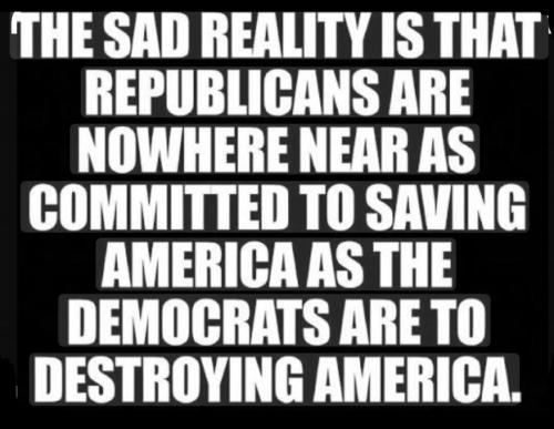 24f90fbc-cca0-4022-8baf-c3f004ce2e4c