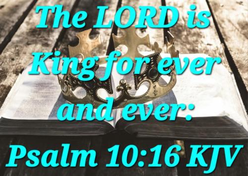 80668668-c29d-4959-b378-c4c6b7f62aa1