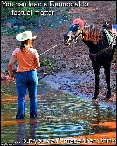 TESTHUB_photos_users_KPBY8Tc46ldqLjWXf6bqxqOW3AR2_-OoeX0NrXGF5t8ESHrHf_img_rsz__1100x1100