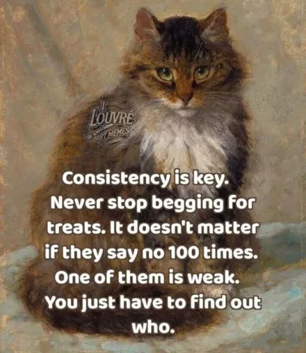 91a718f9086f413d7021e672a2c6c1bd