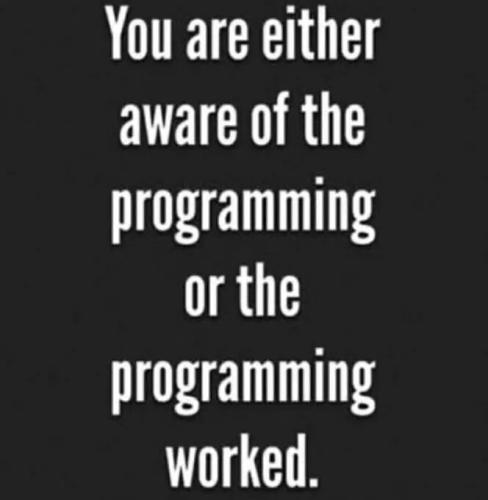 e616aaa188f9eed2124fc1063e54a787