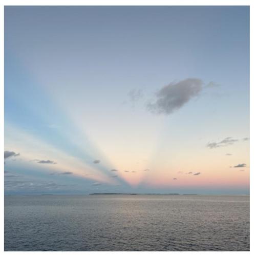 f675c918-927c-439d-a0b5-214eb50b5370