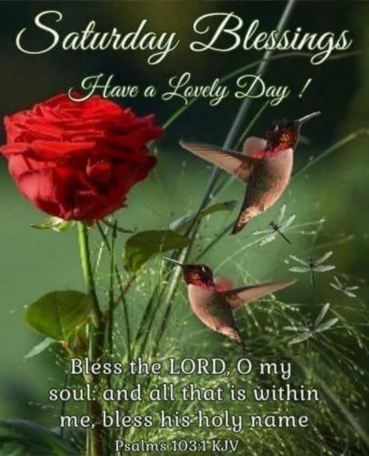 647351170_1550996529719562_201403375140167706_n