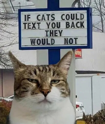 af498ad8cab9a006f308412e11cd5e49