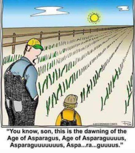 Screenshot_20260326_083546_Gallery