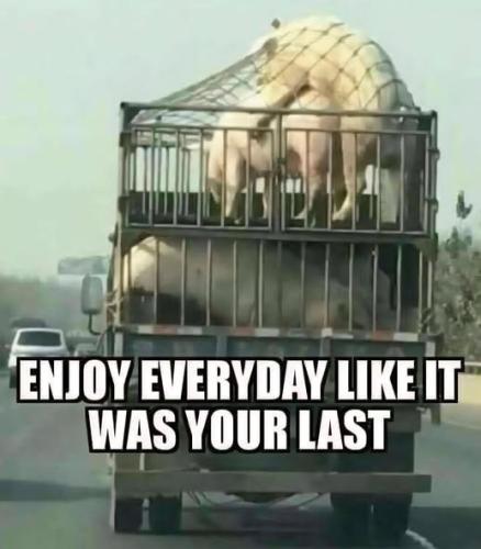 657266585_34583555407954952_8573493685847701383_n