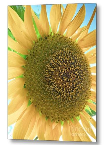 Screenshot_20260330_181631_Brave