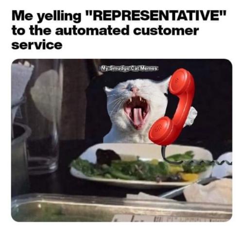 Screenshot_20260331_082523_Gallery