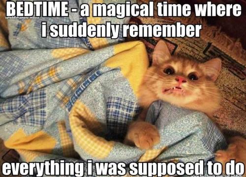 K7nZg863zKDlGaB2d5qx_06_68bd8d973bb507983d0837d3a3e6cc41_image