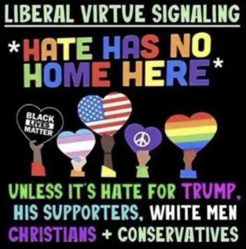 liberal-virtue-signal
