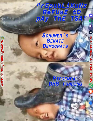 Schumer Democrats - TSA Funding - Web-Social